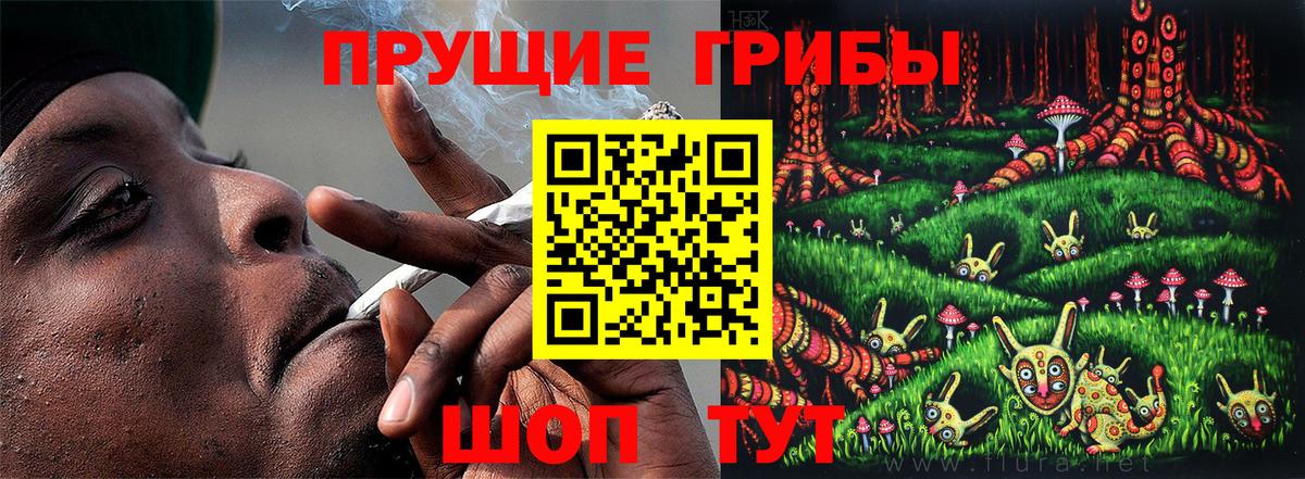 Псилоцибиновые грибы Magic Shrooms Луховицы